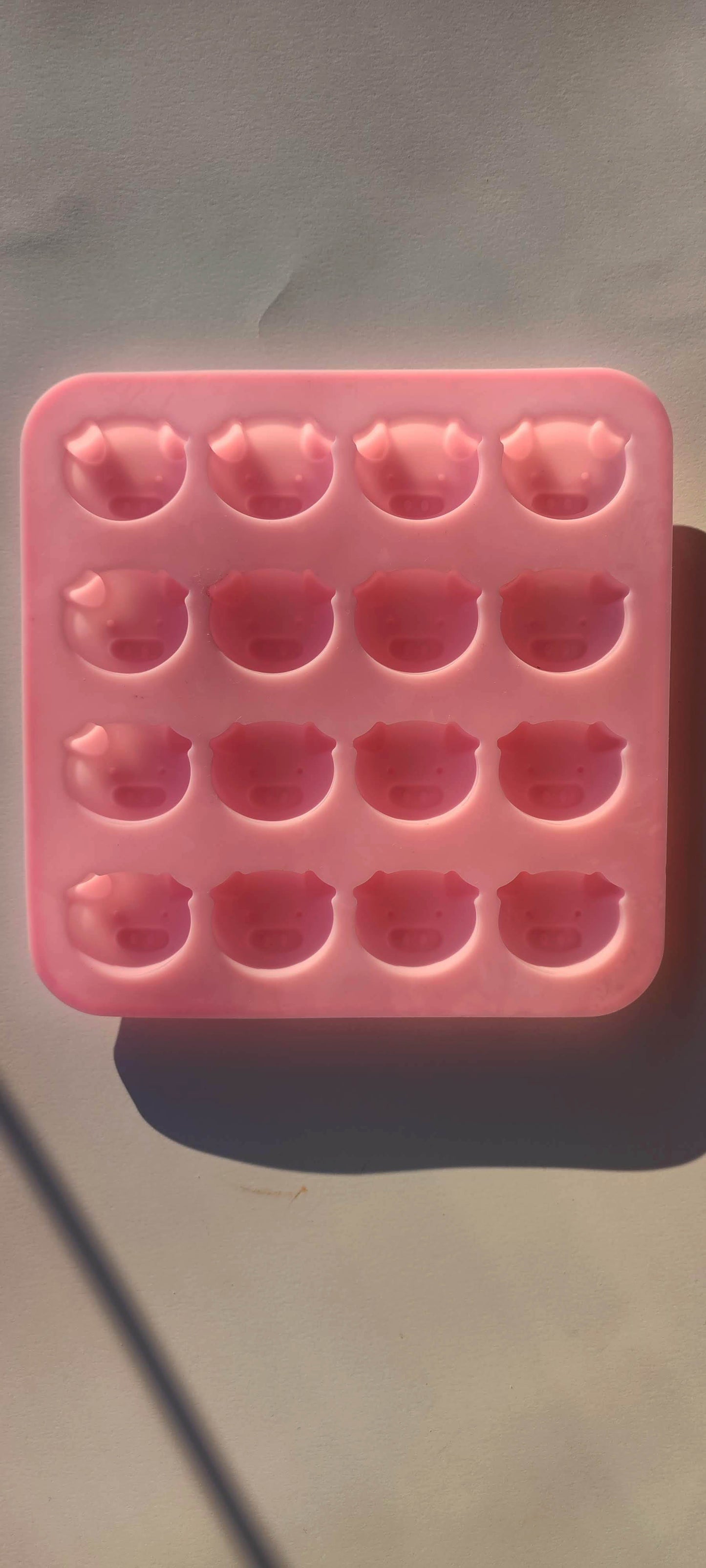 Piggy faces