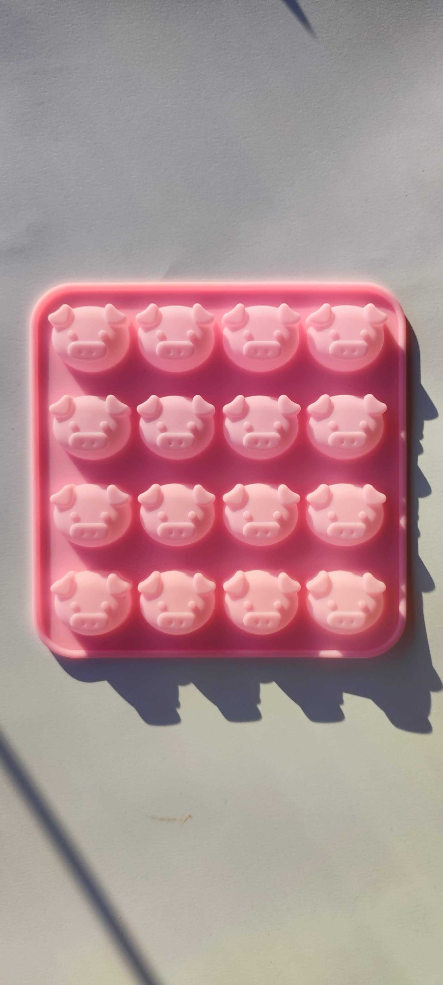 Piggy faces
