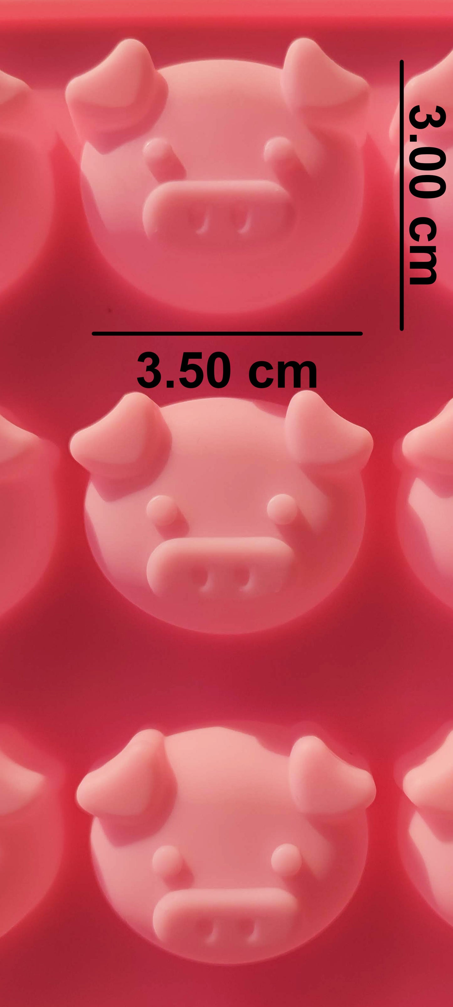 Piggy faces